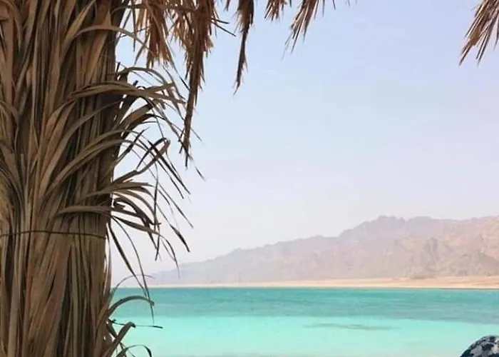 Guest house Arabian Villas And Studios